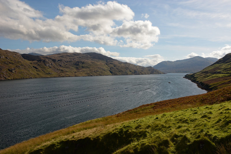 Killary Harbour - Blick nach Südosten